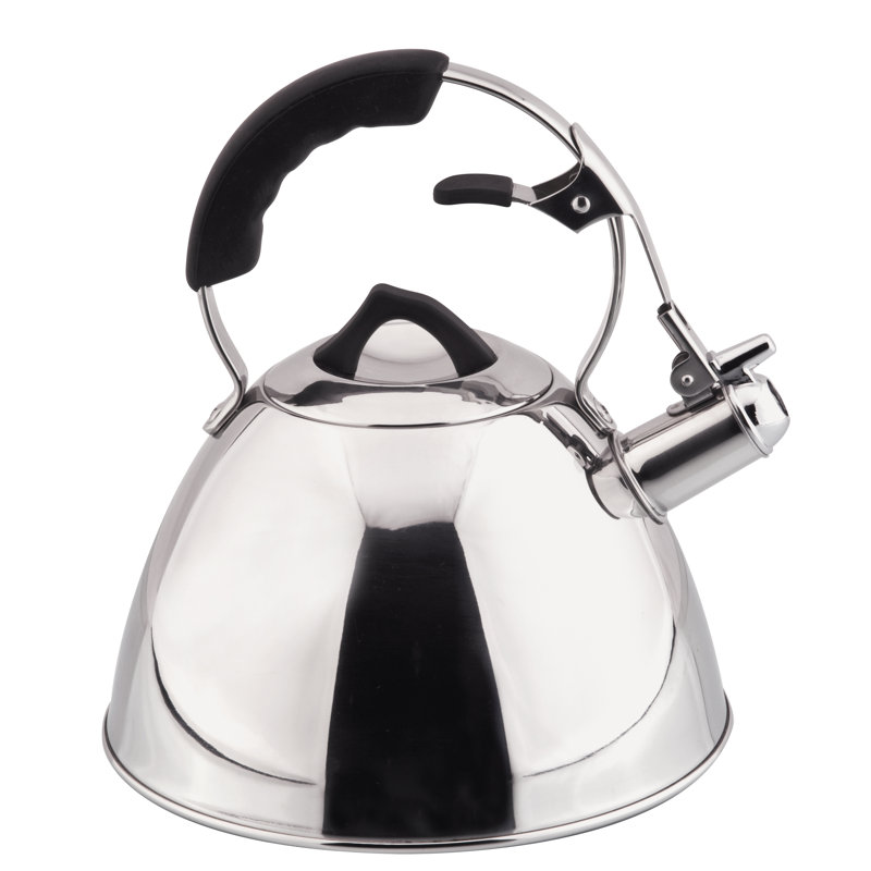 CSKochsysteme by Carl Schmidt Sohn Aquatic Stainless Steel Whistling